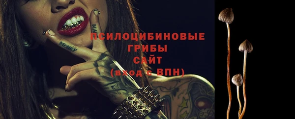 прущий лед Пересвет