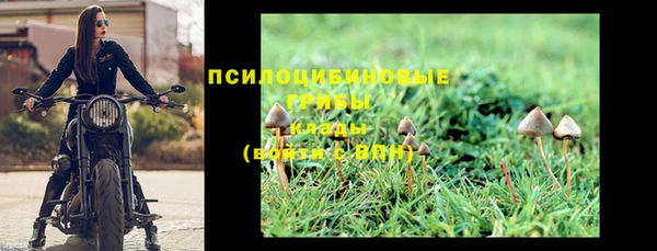 прущий лед Пересвет
