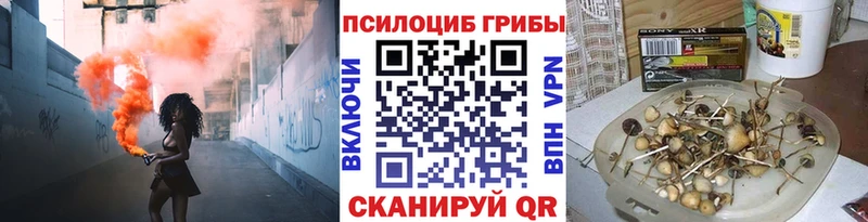 Псилоцибиновые грибы Cubensis  Лиски 