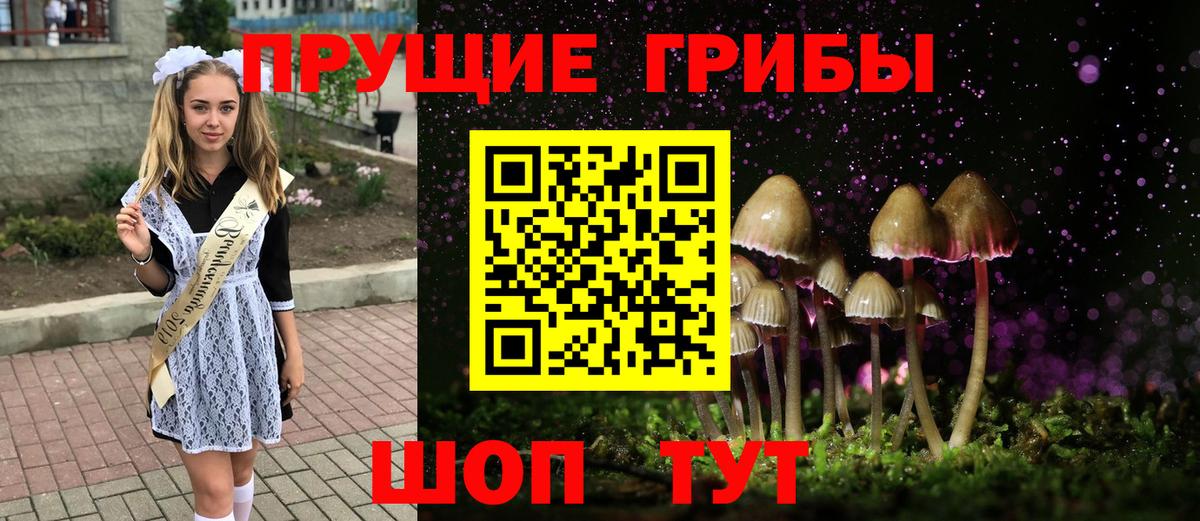 Лиски  купить  цена  Вход с VPN  Псилоцибиновые грибы мицелий  Галлюциногенные грибы прущие грибы 