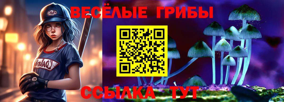 Галлюциногенные грибы ЛСД  Лиски  Псилоцибиновые грибы Cubensis 